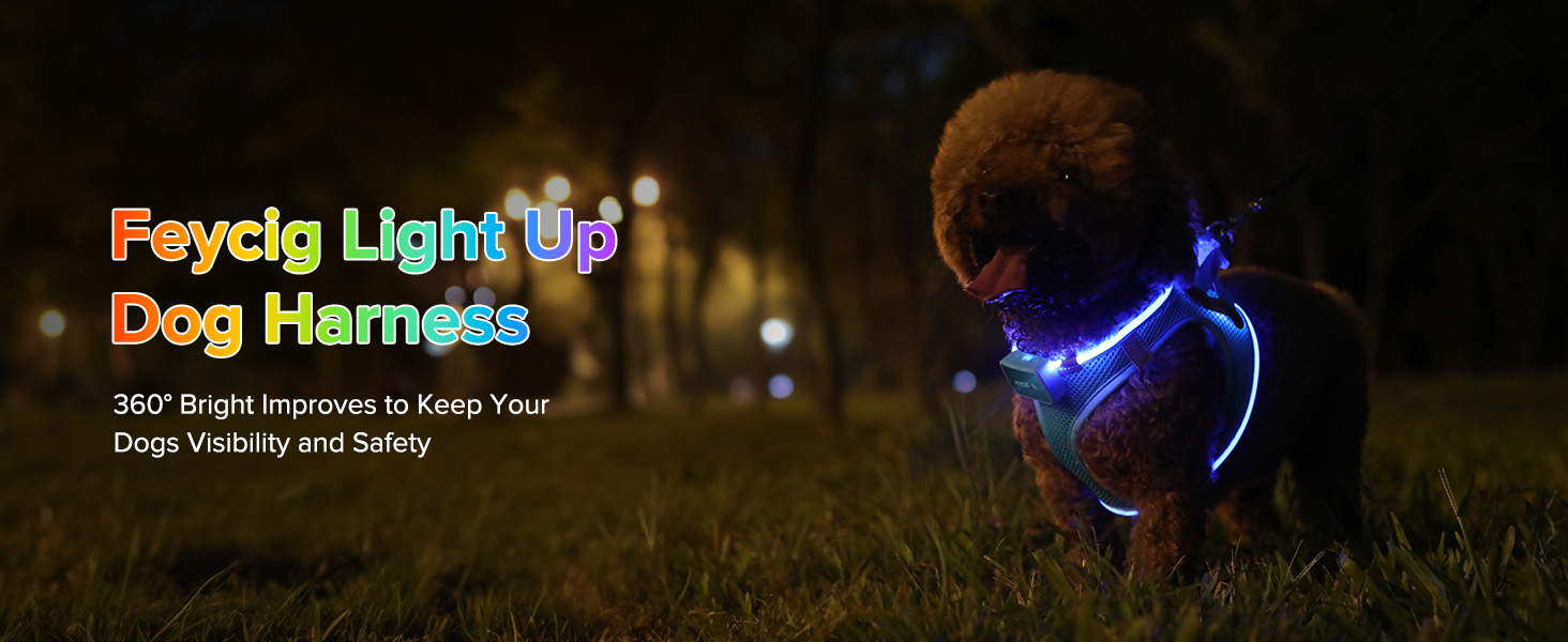 Світлодіодне шлейка для собак з підзарядкою - світлотехнічна шлейка, світловідбиваюча для цуценят, маленьких та середніх собак, нагрудна шлейка, дихаюча шлейка (Синій, Small) Синій Small