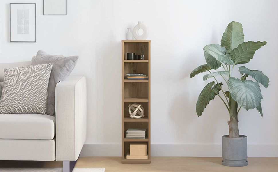 VidaXL CD Shelf with Ample Storage