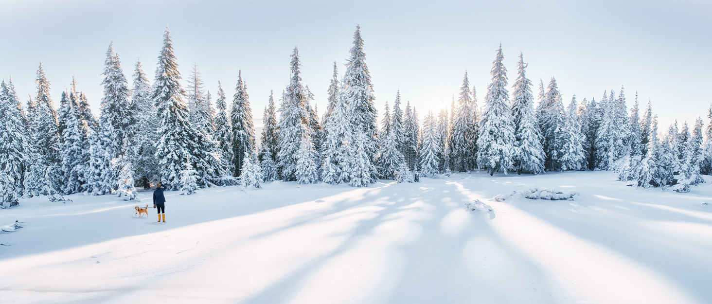 Avaspot штатив-селфістик 180,3 см з LED-підсвічуванням та пультом ДУ – для iPhone, Android, GoPro, камер