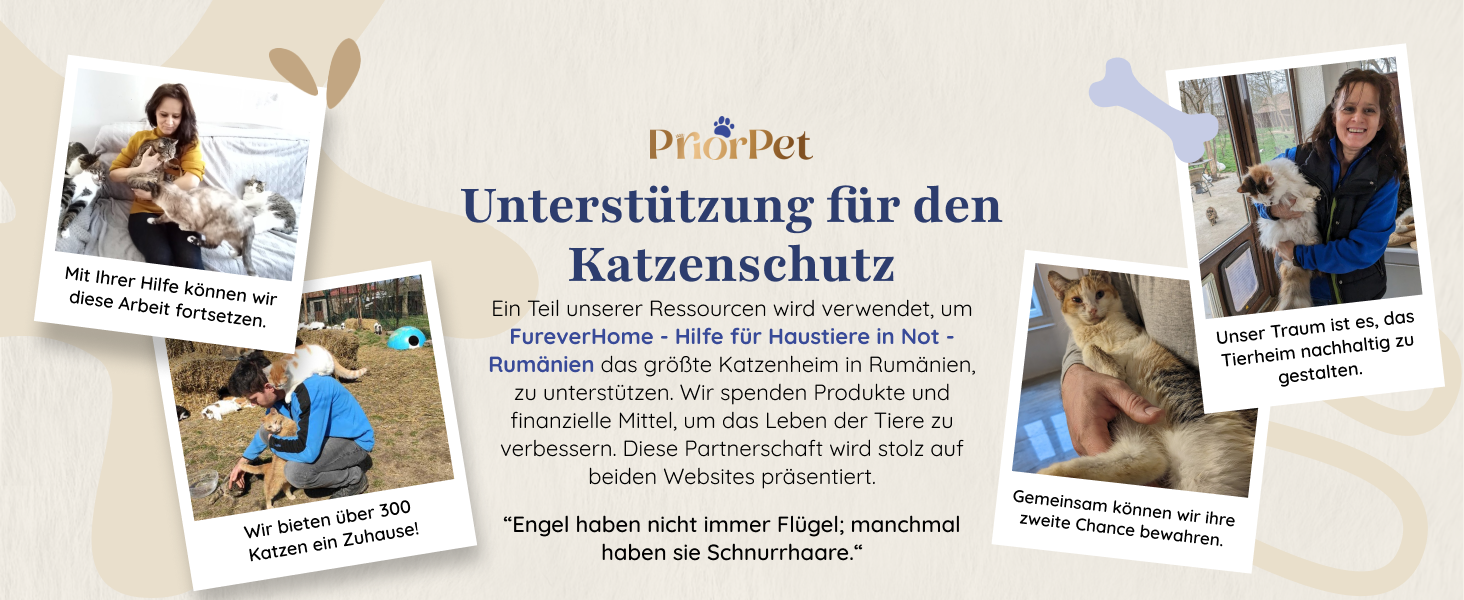 Дерево для котів Kratzbaum Natur - багатоярусне, з можливістю заміни листів, 160 см. Безпечні матеріали, міцне та запатентоване.