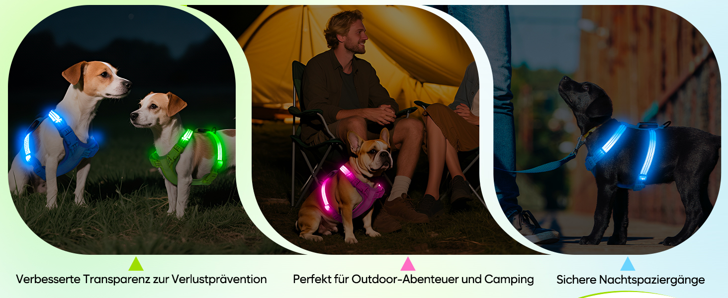 Світловідбиваючий LED нашийник для собак, USB-C, для маленьких собак, XS-S, для прогулянок вночі