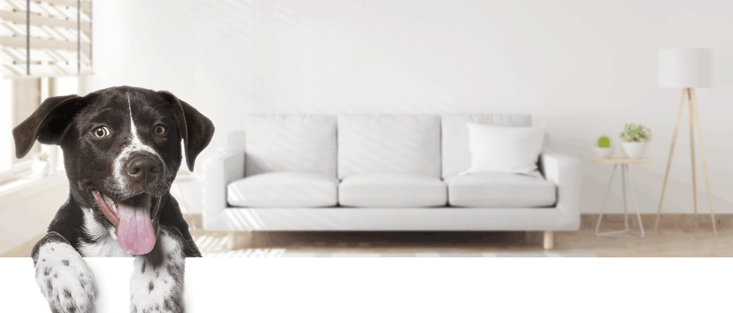 Бамбуковий загороджувач для тварин Semiocthome: 2 панелі, 90 см, 61 см висота, для дому, для собак та кошенят