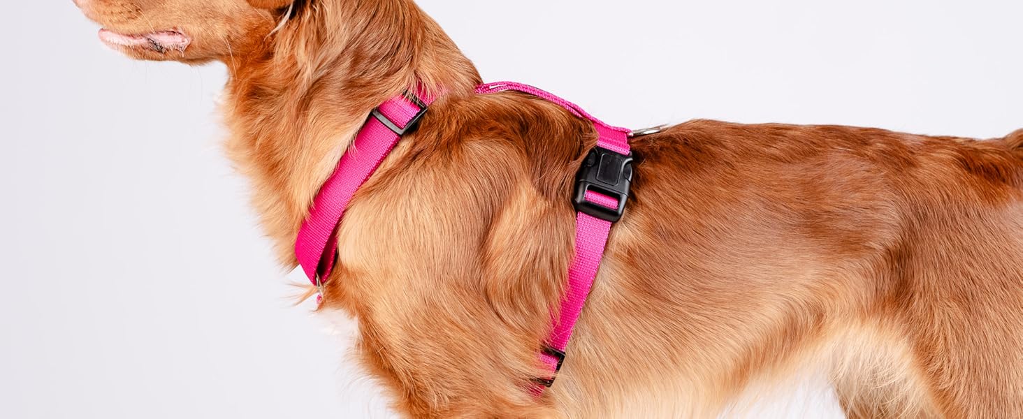 Шлейка для собак Chaba Guard середнього розміру, контрольована, протисмикова, регульована, комфортна та легка, класична Step-in, для прогулянок, розмір L, колір Морський