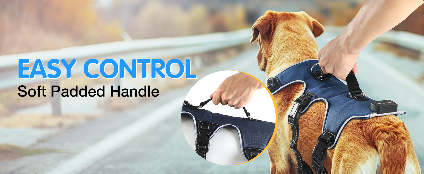 Світловідбиваючий нашийник для собак Jewyow з LED, перезаряджуваний, м'який, регульований, водонепроникний, зелений (XL)