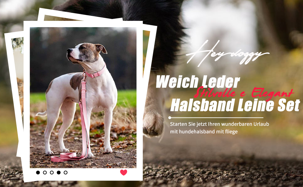 Набір собачий: повід та нашийник з м'якої шкіри (2м) - регульований повід, стильна рожева металева застібка та нейлонові повідки для цуценят, собак маленьких, середніх та великих порід, сірий колір, S (обхват шиї 31-43 см, ширина 2 см), сірий