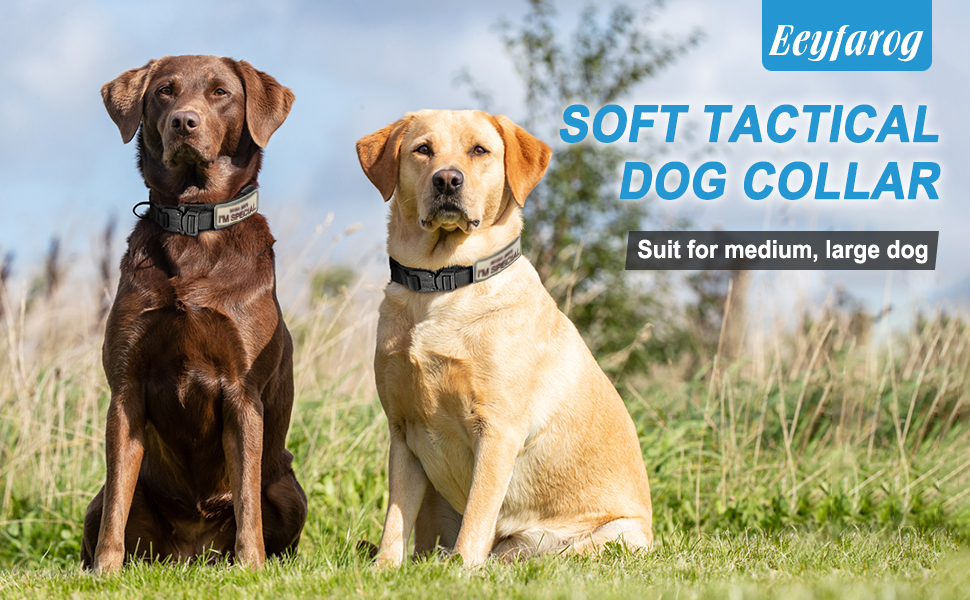 Нашийник для собак Eeyfarog, регульований з контролем, сірий, XL