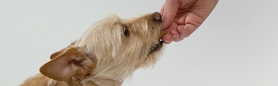 Контейнер для корму для собак Pethiy, 6.5 л, метал, білий - з міркою та герметичним кришкою