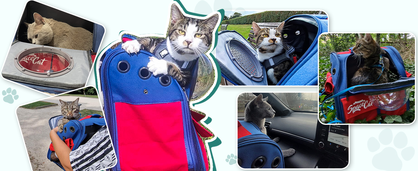 Рюкзак-переноска для кота Galatée, рюкзак для тварин, рюкзак-кокони, рюкзак-капсула з вентиляцією, рюкзак для собак та маленьких собак (сірий)