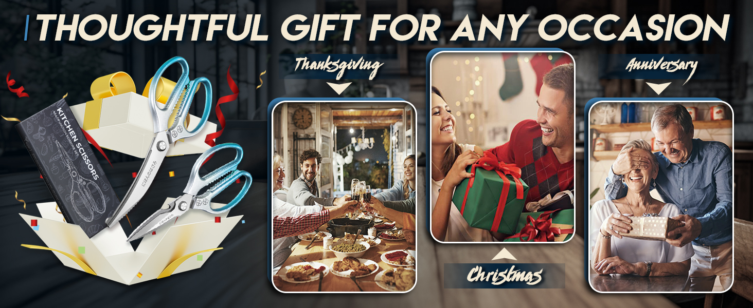 Набір кухонних ножиць DRAGON RIOT Stabile: 2 шт. (ніж для м'яса, ніж для птиці) з нержавіючої сталі