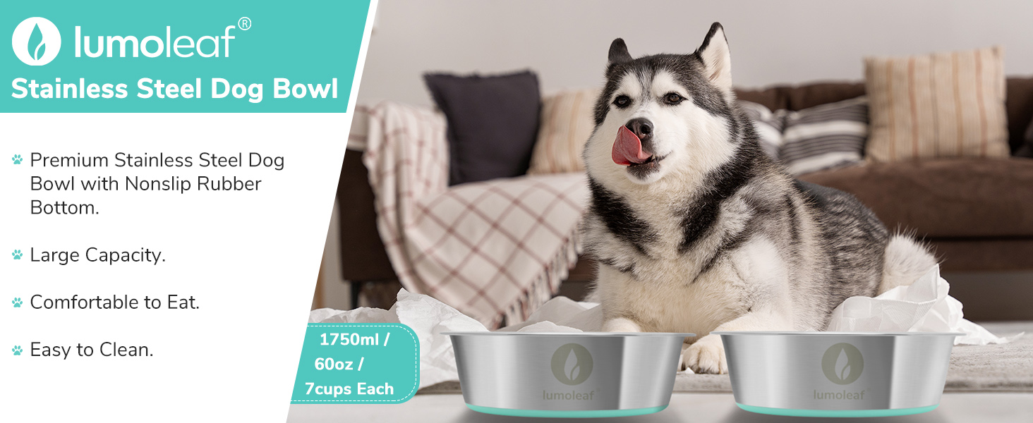 Набір мисок для собак LumoLeaf, нержавіюча сталь, великі, 2 x 3000 мл, з протиковзким силіконовим дном, для великих і середніх собак, миска для їжі та води, придатна для миття в посудомийній машині (подвійний набір)
