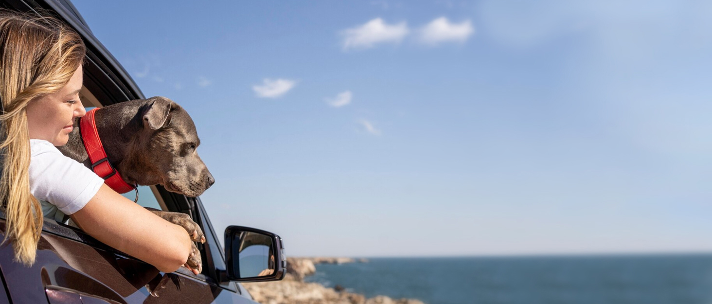 Захист для багажника автомобіля для собак: водонепроникний та стійкий до подряпин килимок з захистом бокових панелей та краю багажника. Легкий у догляді та міцний, чорний.