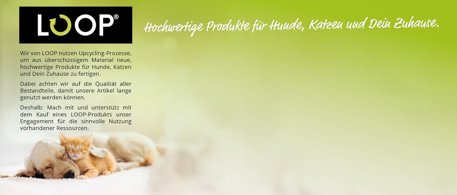 Ремінь безпеки для собак Loop на заднє сидіння авто, з карабіном, регульована довжина 60-80 см, аксесуар до килимка для собак Loop-SR1000