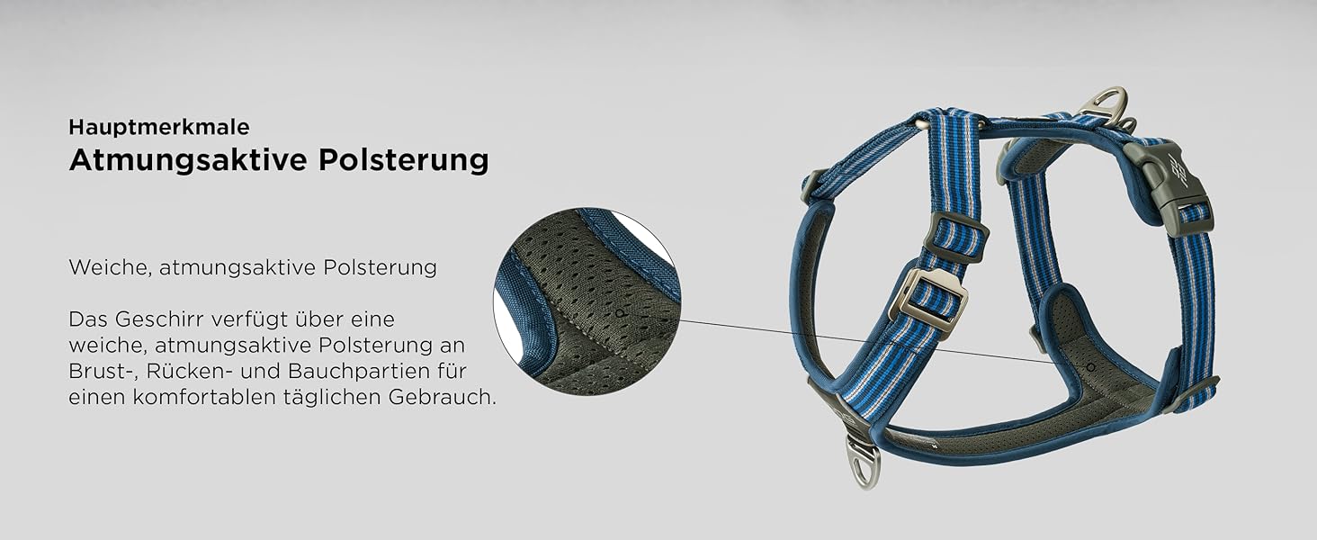 Нашийник для собак DOG Copenhagen Comfort Walk Air 3.0, Wild Rose, S