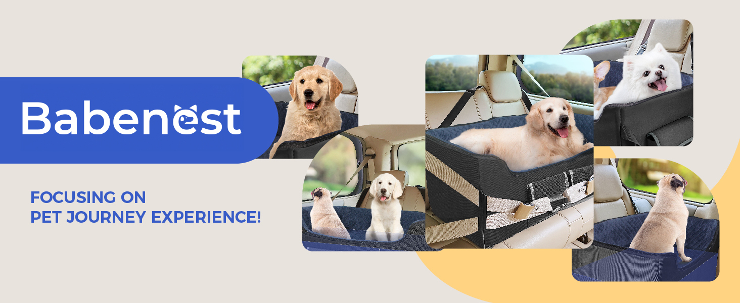 Stable Multi-Pet Car Seat with Safety Belt - Elevated Dog Basket for Medium Dogs, Washable & Reinforced - Royal Blue, Large