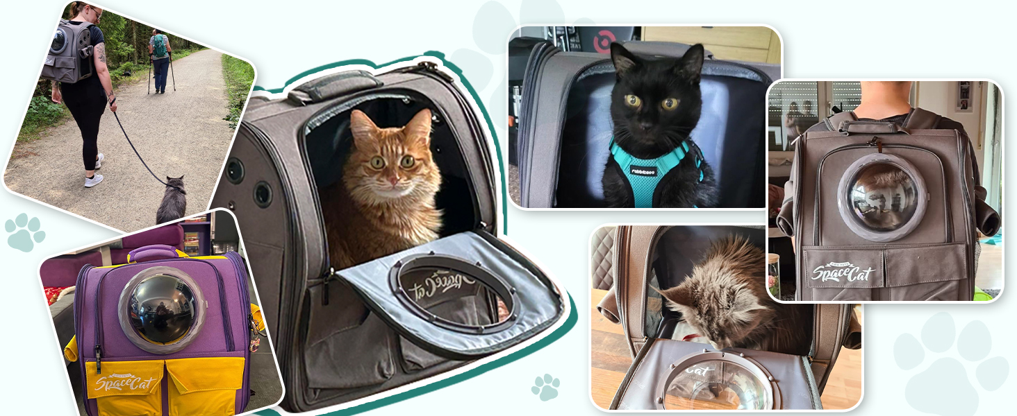 Рюкзак-переноска для кота Galatée, рюкзак для тварин, рюкзак-кокони, рюкзак-капсула з вентиляцією, рюкзак для собак та маленьких собак (сірий)