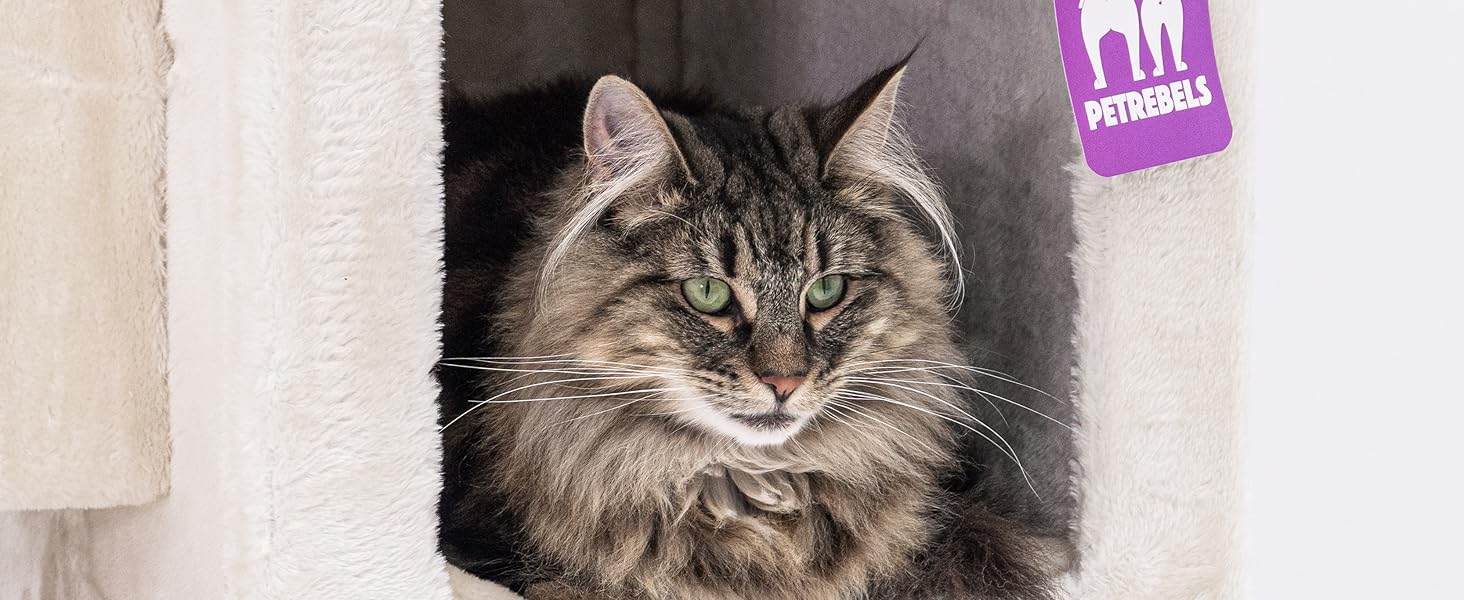 Котячий комплекс Petrebels Cleopatra, 134 см, з лежаком та котячою печерою, діаметр стовпів 9 см, бежевий/кремовий