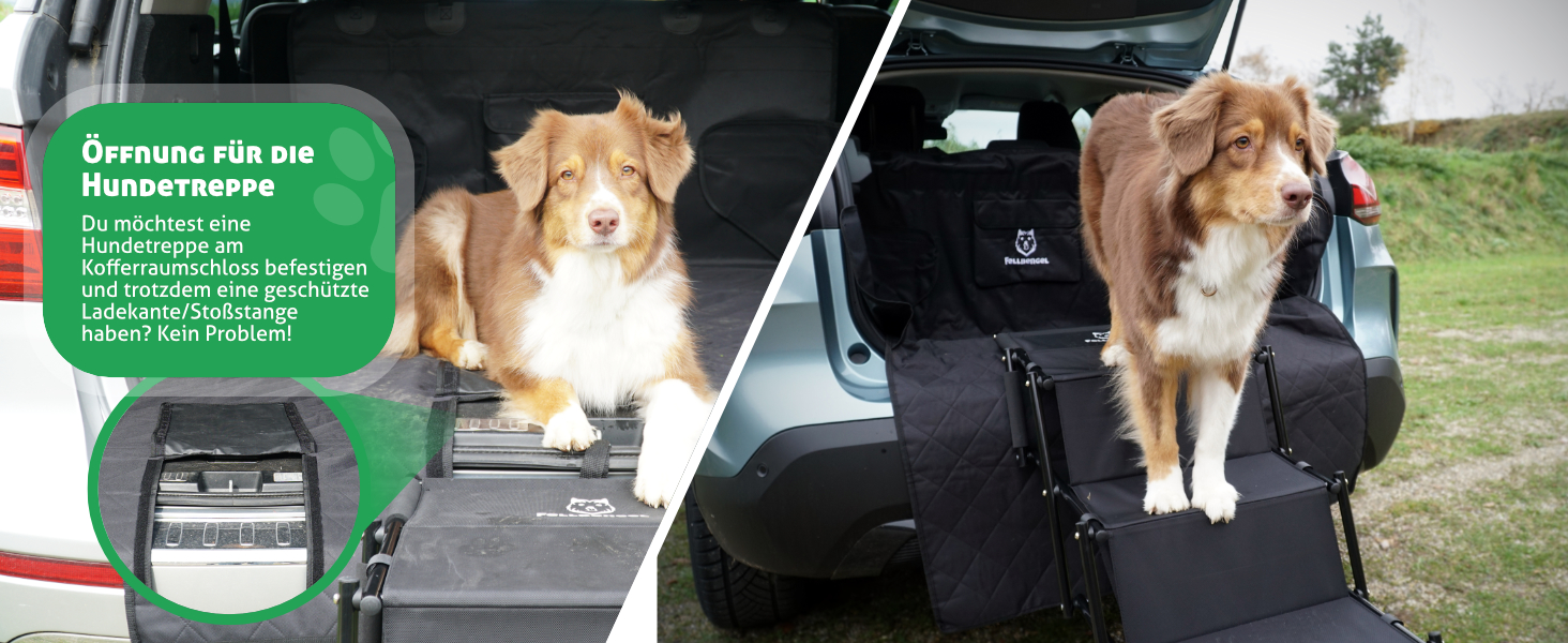 Захист для багажника авто для собак [надміцний клямка] - килимок для багажника, ковдра для собак, SUV, Kombi, Kleinwagen - захист від вологи та бруду - безпечна перевозка собак, стандартний чорний колір