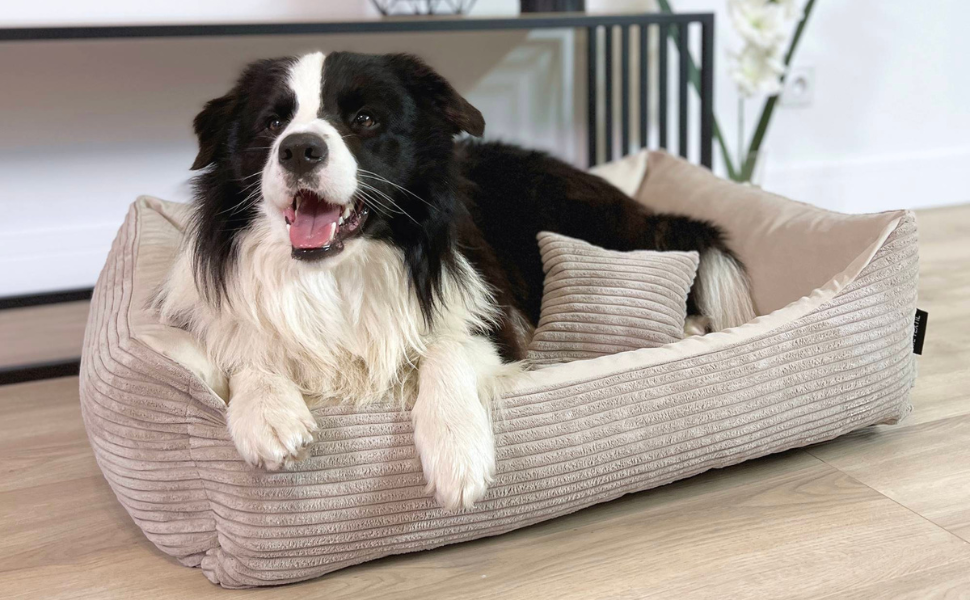 М'яке ліжко для собак 4L Textil Molly, корзина для собак, подушка для собак та котів, корзинка для собак, мохет (60x40 см, зелений)