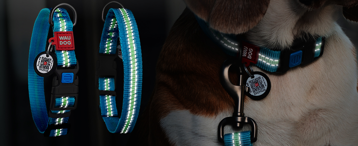 Нашийник для собак WAUDOG: водонепроникний, регульований, для великих, середніх та малих собак, з металевою застібкою, 31-49 см, ширина 25 мм, світловідбиваючий