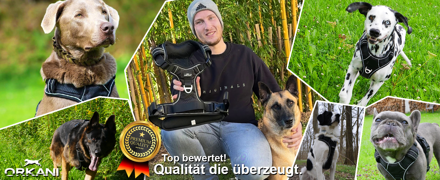 Шлейка для собак ORKANI Bravo 2025 - преміум, не тягне, з безпечним замком, дихаюча, м'яка, для маленьких, середніх та великих собак (S)