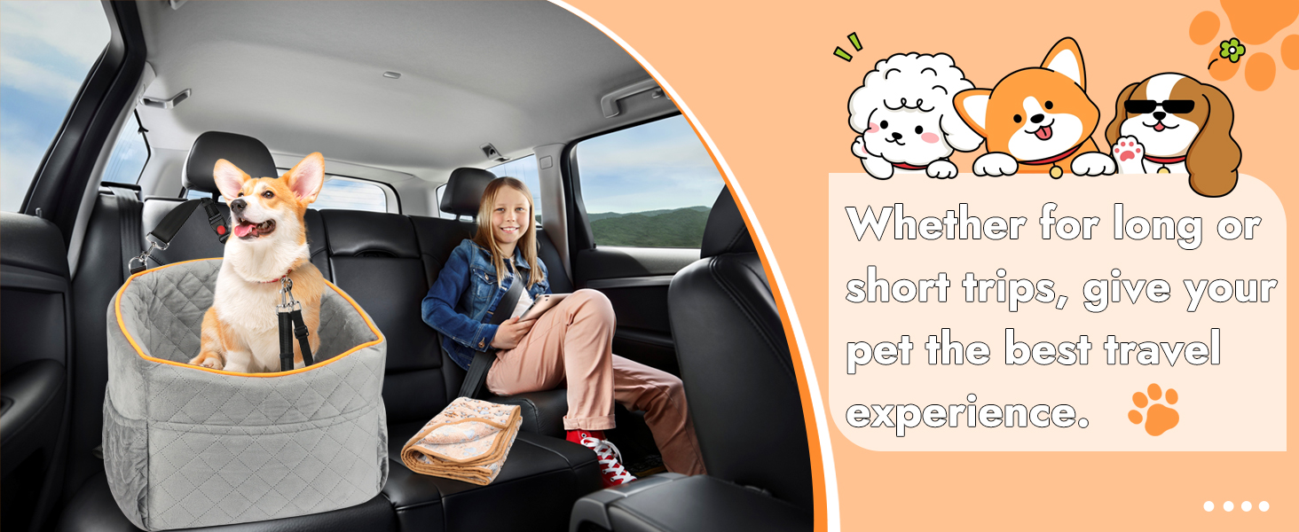 Memory Foam Dog Car Seat for Small Dogs (Under 11kg) - Elevated Design with Storage Pockets (Gray)