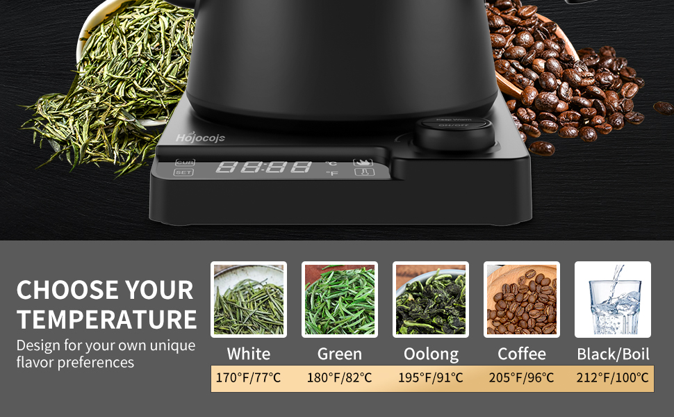 Електричний чайник-заварник зі сталевим гусячим носиком, 1л, 1200Вт, з регулюванням температури та функцією підігріву 24 години, чорний