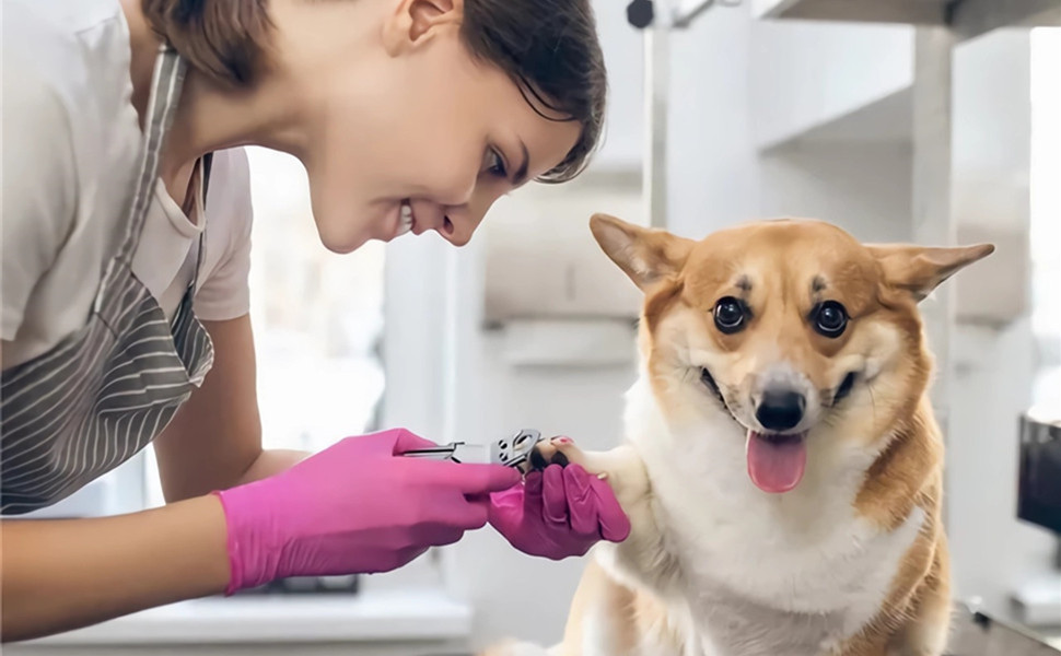 Ножиці для обрізання кігтів домашніх тварин Fdit - для собак та котів, чорний колір