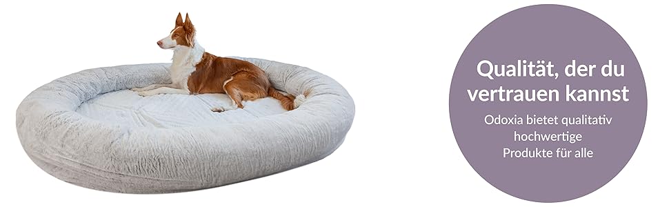 Dog Bed for Humans & Dogs | Huge Human Dog Bed for People | Warm & Comfortable Beanbag Bed | Dog Bed for People & Pets in Human Size | Blanket Included & Removable Cover | Grey (Light Grey)