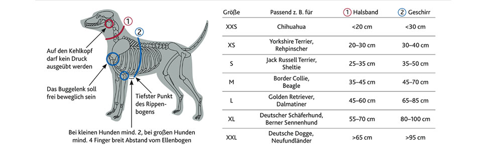 Шлейка для собак TRIXIE Premium Touren, чорна, розмір M (45–80 см), 25 мм - спортивна та зручна, з м'якою підкладкою, регульована