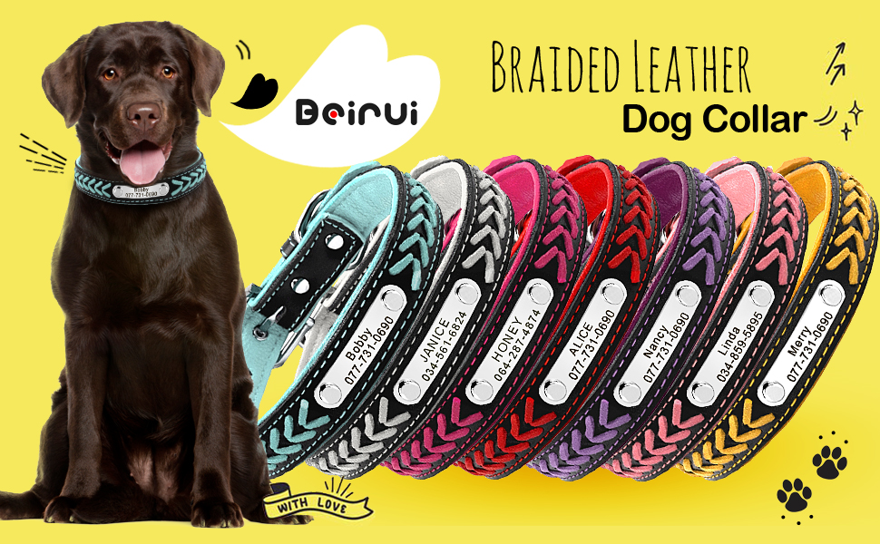 Шкіряний нашийник для собак та котів Berry з регулюванням та іменником, Rosa (L: 37-47 см)