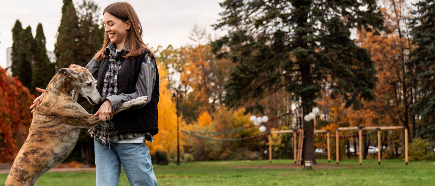 Стильне шкіряне нашийник для породистих собак (Вінтерхаунд, Віпет, Салукі) з QR-кодом, розмір M