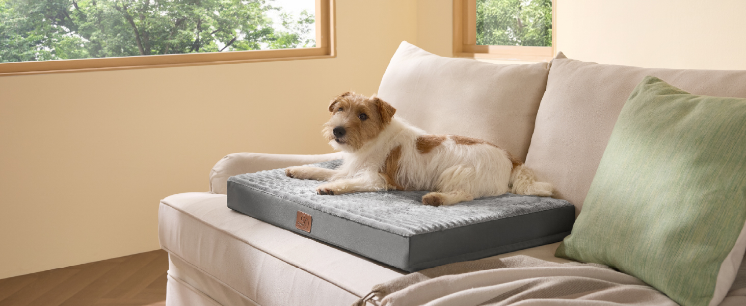 Крісло-ліжко для собак середніх порід BEDSURE - 89x56x7 см. Комфортне килим для собак з антиковзною основою та знімним, пральним чохлом. Матрац для собак з піною 