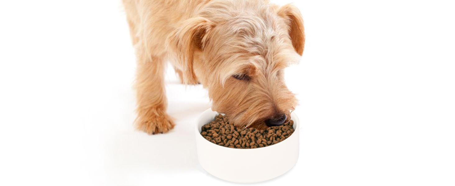 Керамічна миска для собак середніх та великих порід - важка, глибока миска для корму або води - 1800 мл - біла. Миски для собак великих порід