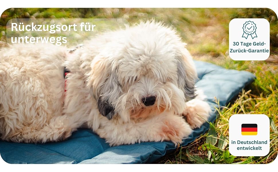 Килимок для собак Wanderpfote, 75 x 50 см, ортопедичний, вологостійкий, синій (M)