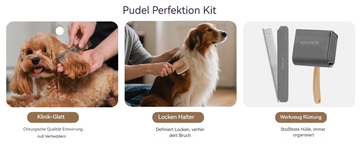 Набір щітки та гребінця для собак та котів з довгим хутром – зі сталевими шпильками 25 мм проти підшерстка та ковтунів – дерев'яна ручка та шкіряний футляр – ідеально для Golden Retriever та Maine Coon – фіолетовий