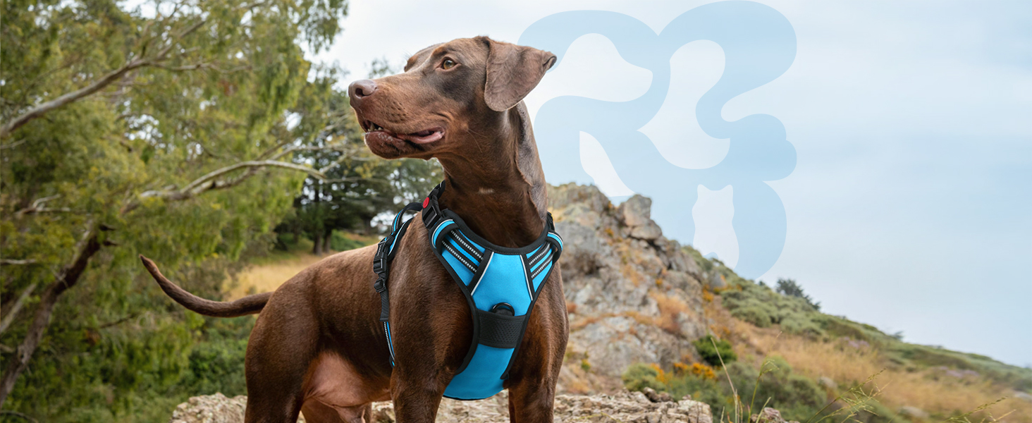 Нашийник для собак Rabbitgoo, великі породи, регульований, проти тяги, з ручкою, м'який, світловідбиваючий, блакитний, L (XL, 1 шт.)