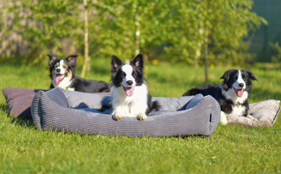 М'яке ліжко для собак 4L Textil Molly, корзина для собак, подушка для собак та котів, корзинка для собак, мохет (60x40 см, зелений)