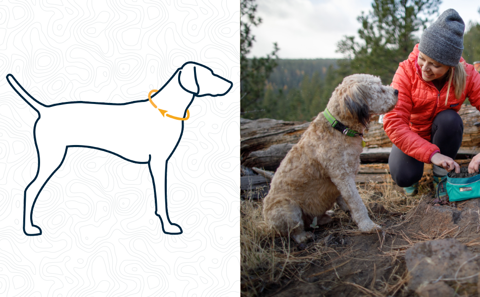 Нашийник для собак RUFFWEAR Crag, світловідбивний, зручний, для щоденного використання, зелений, 51–66 см