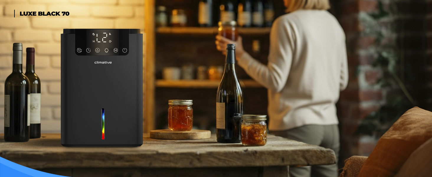 Електричний осушувач повітря Climative ION 12L/24h з Wi-Fi та очищувачем повітря для дому, квартири, ванної кімнати. Захист від вологи та плісняви до 20 м². Чорний Luxe 070