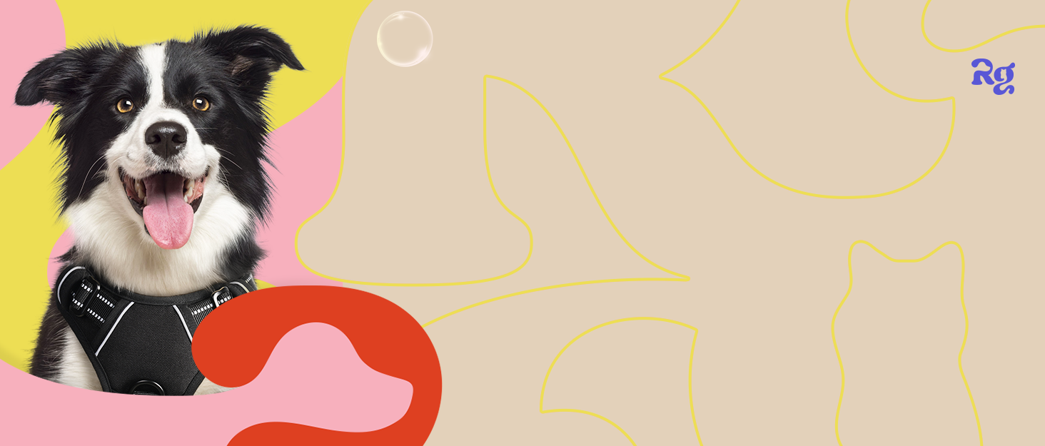 Нагрудник для собак Rabbitgoo середнього розміру, анти-тяга, регульований, великі собаки, дихаючий, з світловідбиваючими смугами, безпечне ведення, червоний (1 шт.)