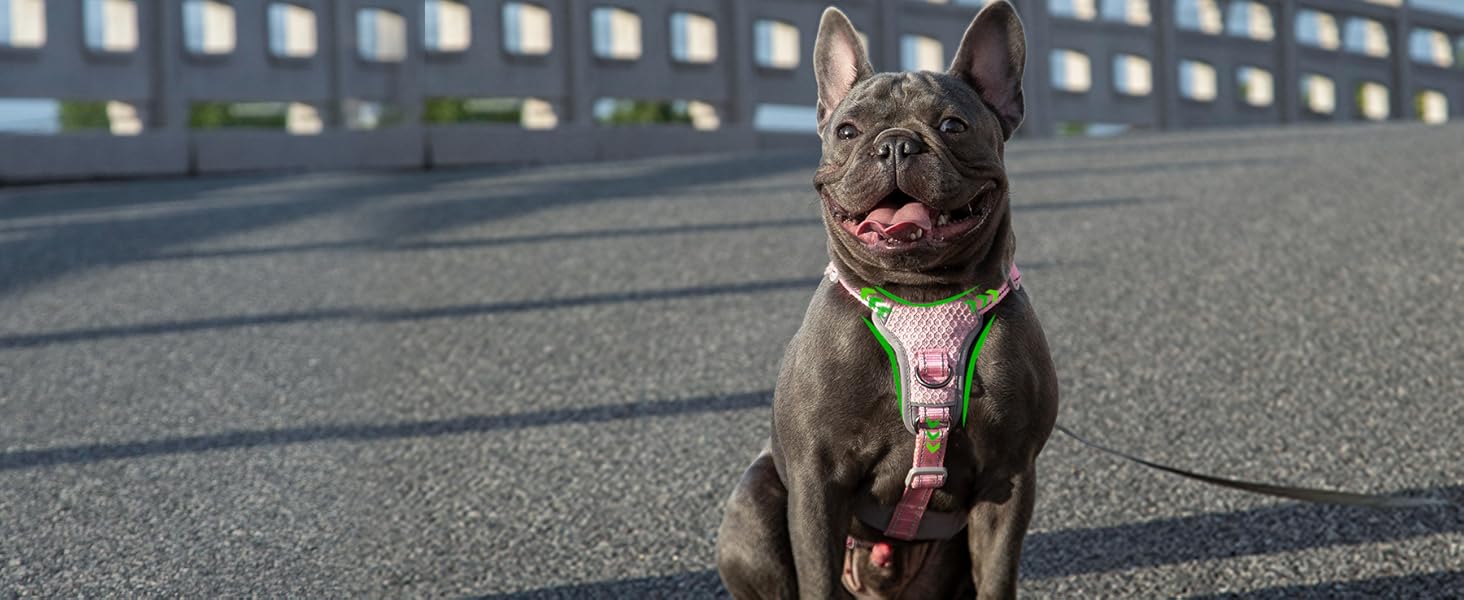 Шлейка для собак Huntboo, безпечна та витривала, з світловідбиваючими елементами та м'якою ручкою, регульована жилетка для маленьких собак, для прогулянок та тренувань (Рожева, S)