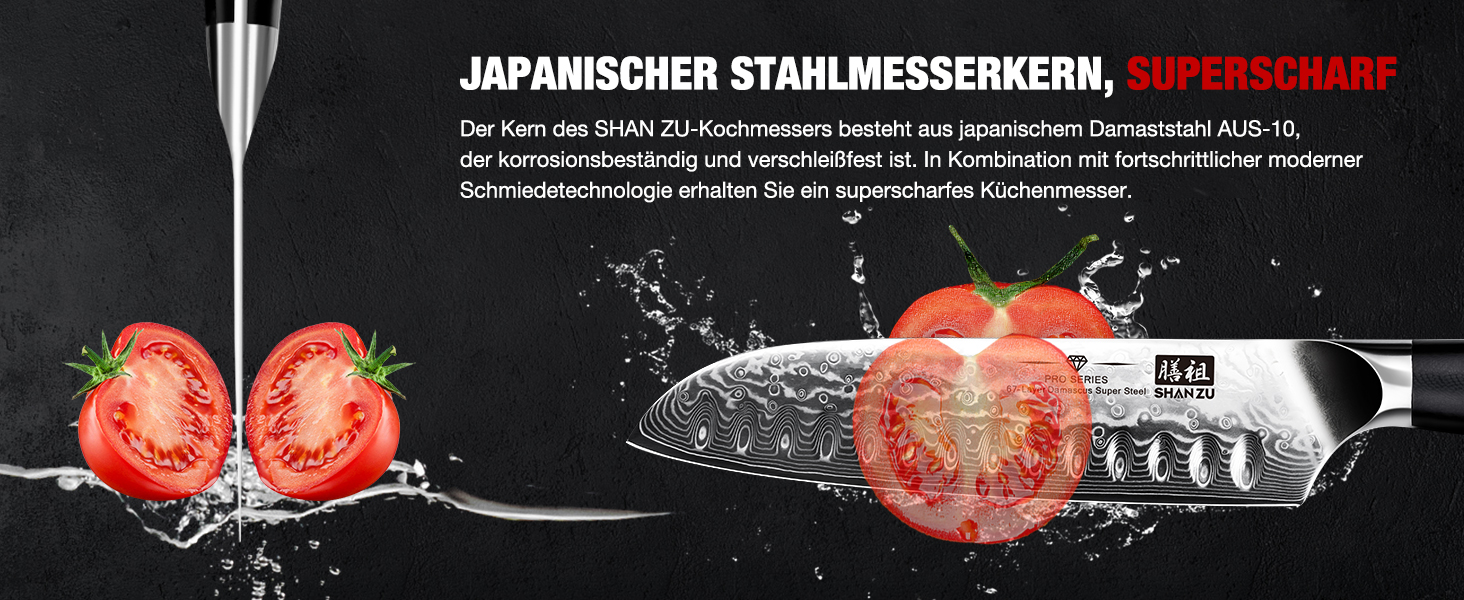 Ніж Сантоку SHAN ZU Damast PRO Series: 67 шарів дамаської сталі, ручка G10