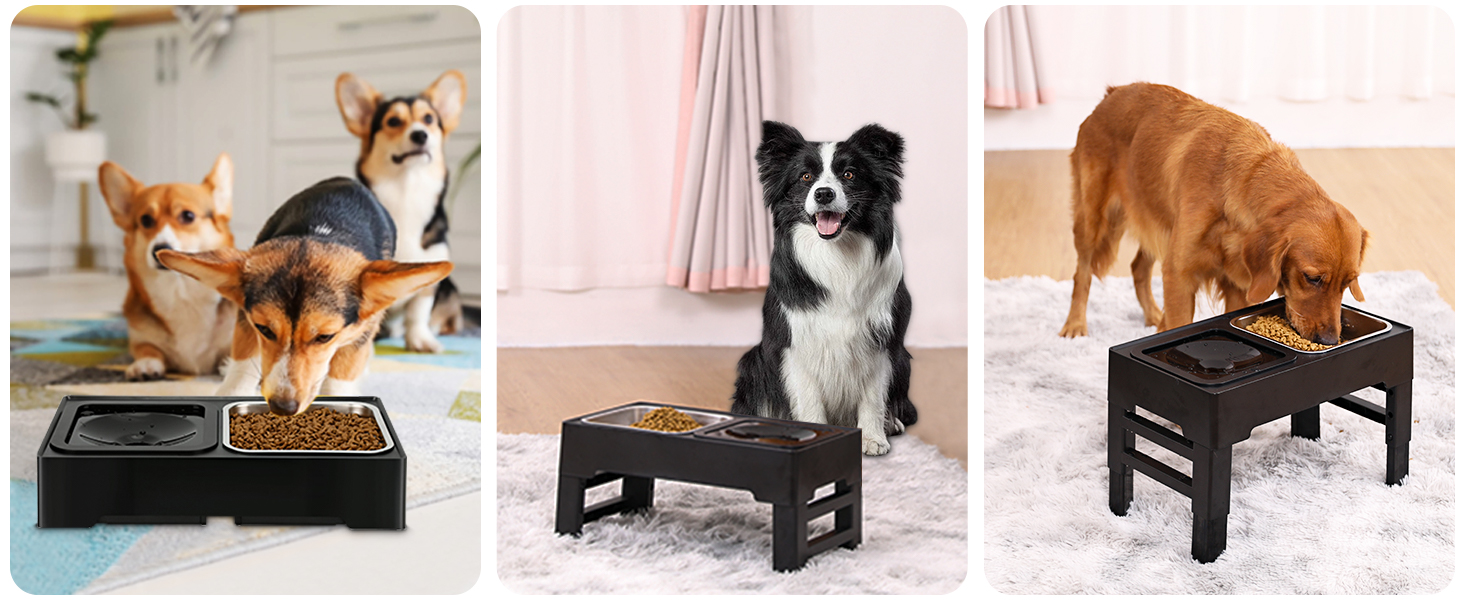PETTOM Миска для собак піднята, годівниця для собак з регулюванням висоти, набір з 2 мисок з нержавіючої сталі 1,6L, годівниця для великих, середніх та маленьких собак 44*26*29 см