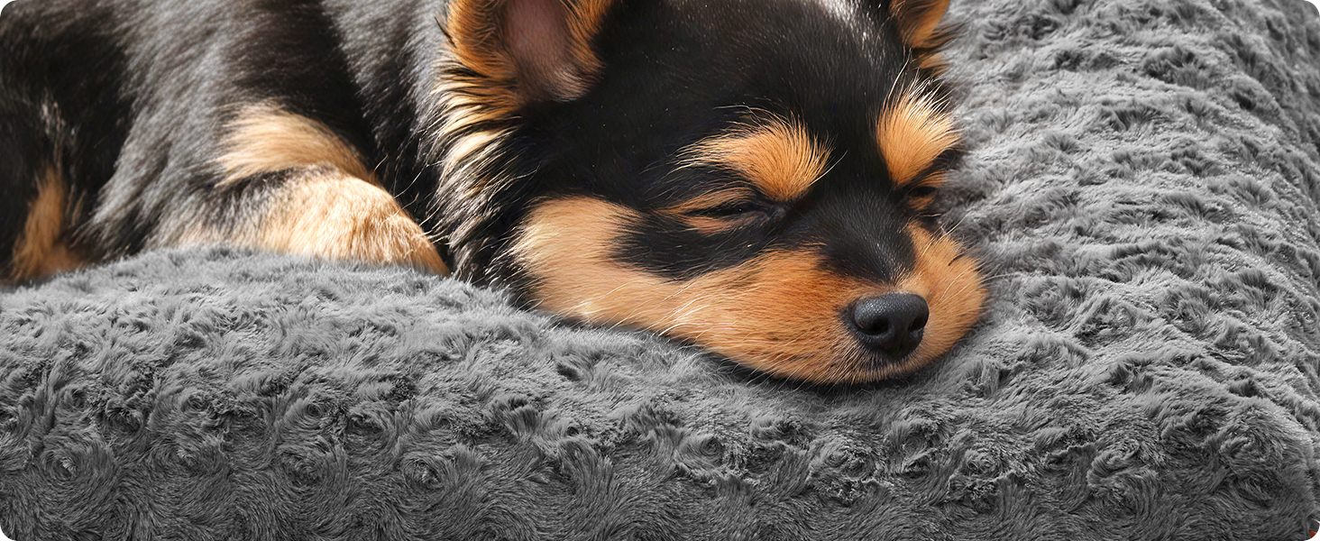 Ліжко для собак Feandrea, XL, для великих собак, м'яка подушка, плюш, 110 x 73 см, з м'яким наповнювачем, можна прати, неслизьке, сірий PGW293GN01 (M (80 x 50 x 10 см))