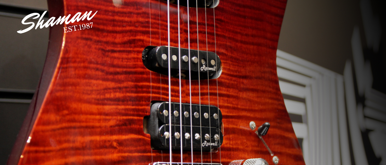 Шейман WGB-115 GY Преміум-лайн Гітара Вестерн - Водовідштовхуючий мішок Gigbag для гітари з міцним матеріалом та регульованими ременями