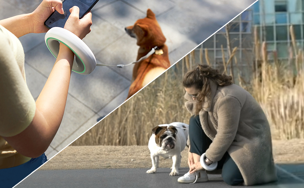 Висувна поводок для собак, ручне кріплення, 360°, без спутанню, 3 м, з тримачем для відходів, для середніх та маленьких собак (чорний/зелений, чорний/помаранчевий)