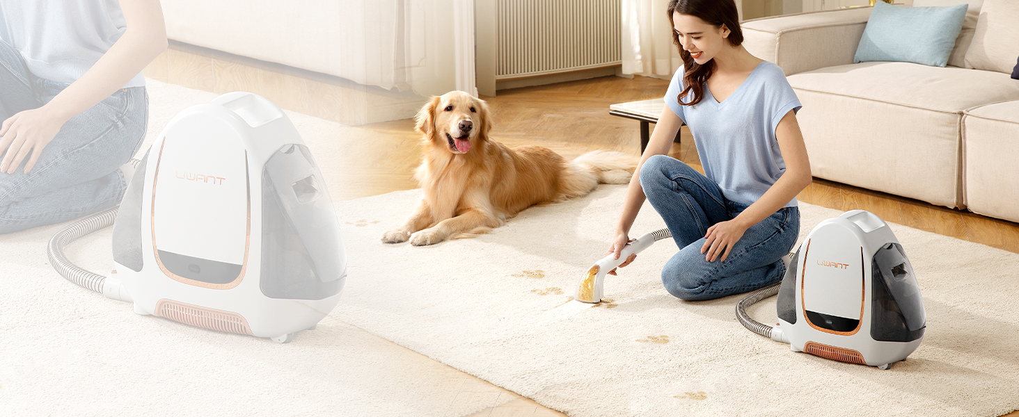 UWANT Теперішній пилосос для миття килимів, для диванів, килимів, м'яких меблів, мокрий/сухий пилосос з потужною потужністю всмоктування 12000Pa, 60dB, B100-s