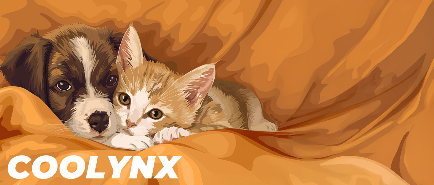 Сходинки для собак 3-ступеневі з будиночком для котів та пандусом для собак. Неслизькі сходи з високощільну піну для маленьких/середніх собак, легко чистяться