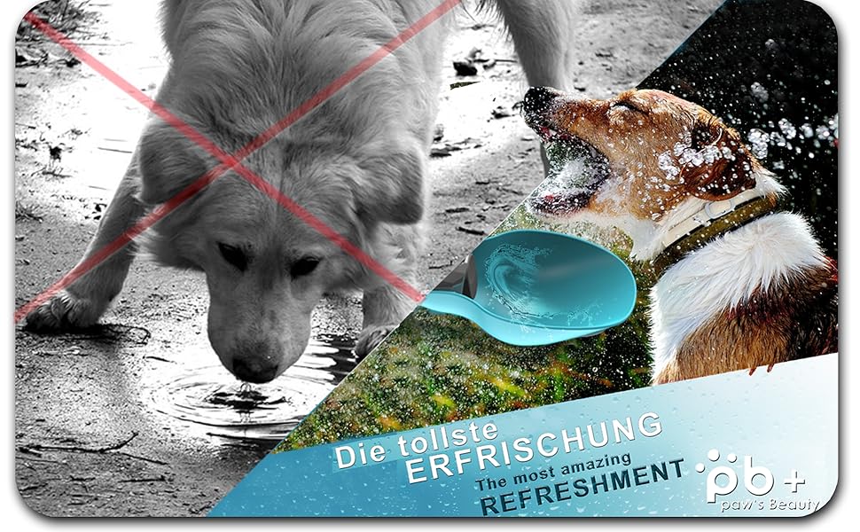 Набір з 2 шт. туристичних собак-пляшок 800 мл з щіткою для зубів | Пляшка для собак преміум-якість, 800 мл, не протікає | Турецька якість