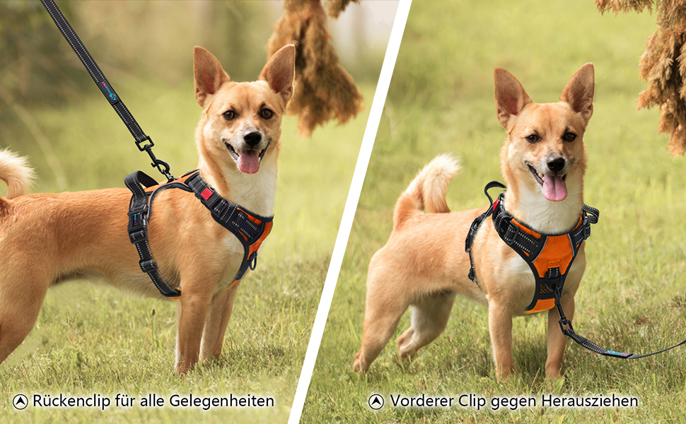 Шлейка для собак PHOEPET з регулюванням, для прогулянок, з карабіном, світловідбиваючими смугами, ручкою для контролю, великі та середні породи собак (L, помаранчевий)
